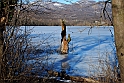 Lago Piccolo di Avigliana ghiacciato_054